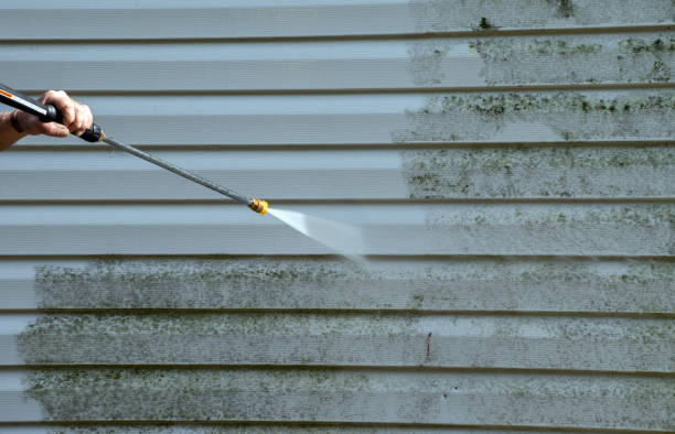 Best Roof Pressure Washing  in Belmar, NJ