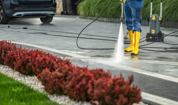 Deck Cleaning Services in Belmar, NJ